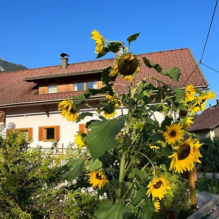 Daire Haus Sunshine Hermagor-Pressegger See