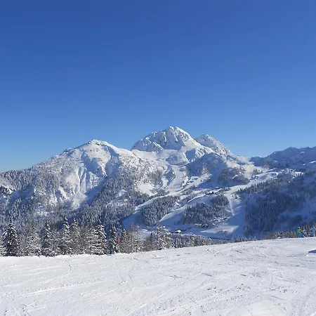 Haus Sunshine Daire Hermagor-Pressegger See