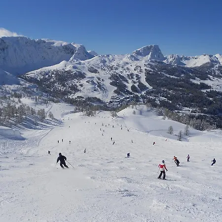 Haus Sunshine アパート ヘルマゴル