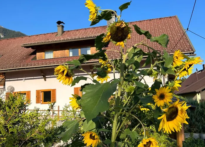 Appartement Haus Sunshine Hermagor-Pressegger See