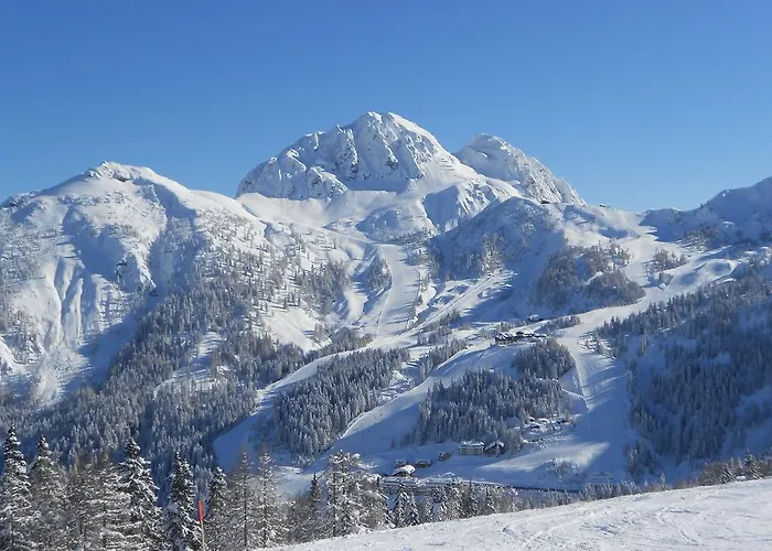 Haus Sunshine הרמגור