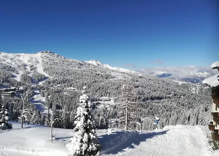 Haus Sunshine Apartment *